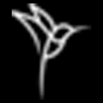 Cult of Coquette voucher codes